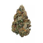 Buy Cookies Gelato Online